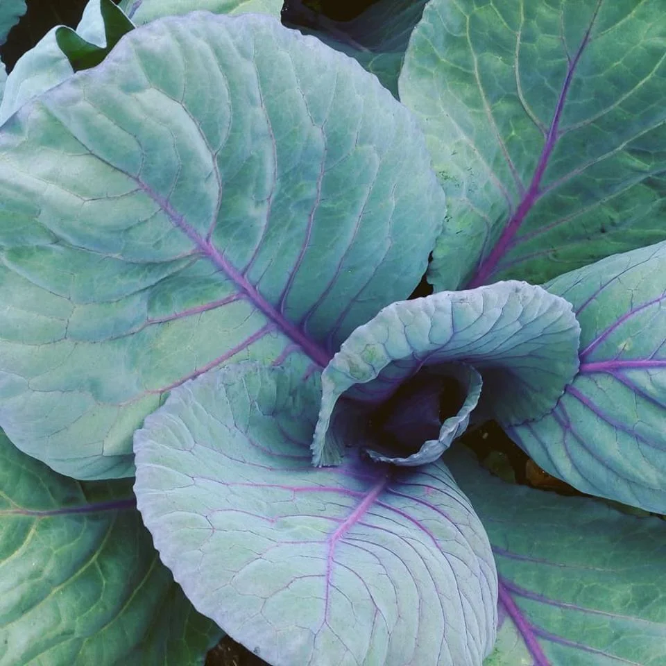 4th July 2018