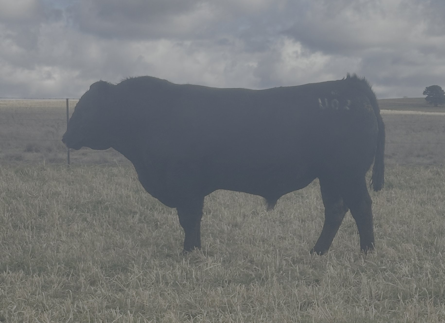 LOT 23 - NRO23U02 ROSSKIN HECTOR U02