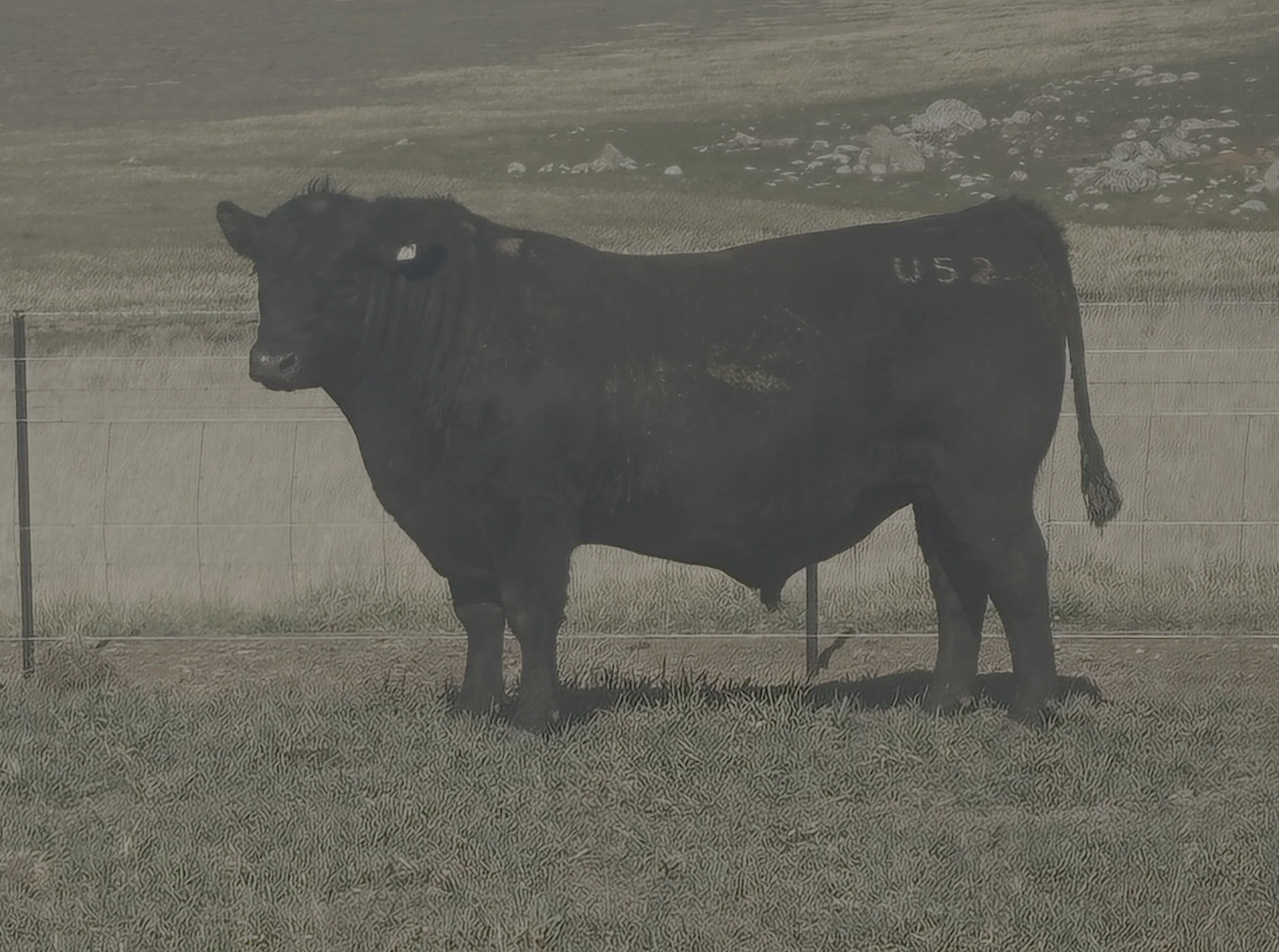 LOT 29 - NRO23U52 ROSSKIN PLANTATION U52 (APR)