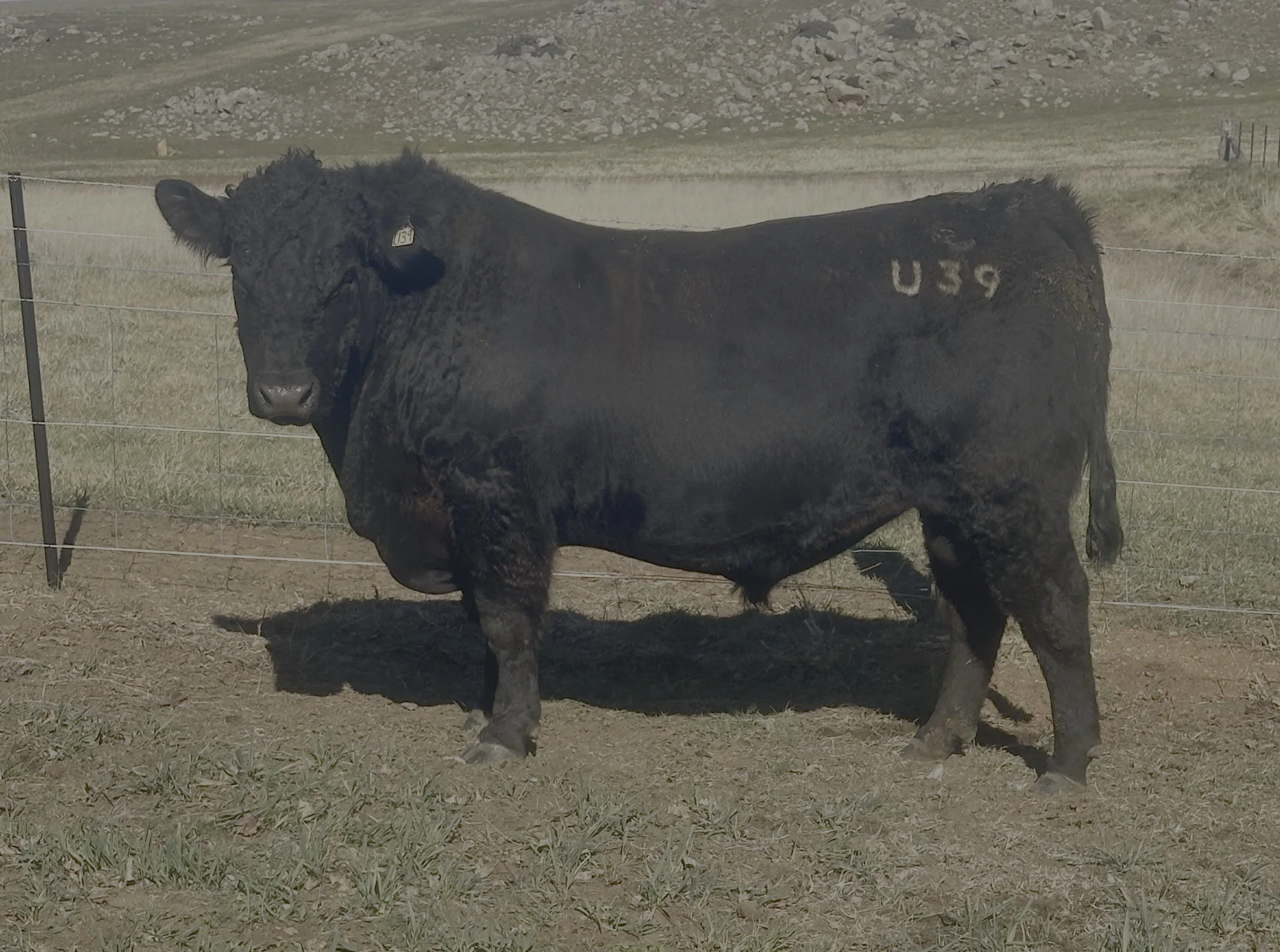 LOT 37 - NRO23U39 ROSSKIN PLANTATION U39
