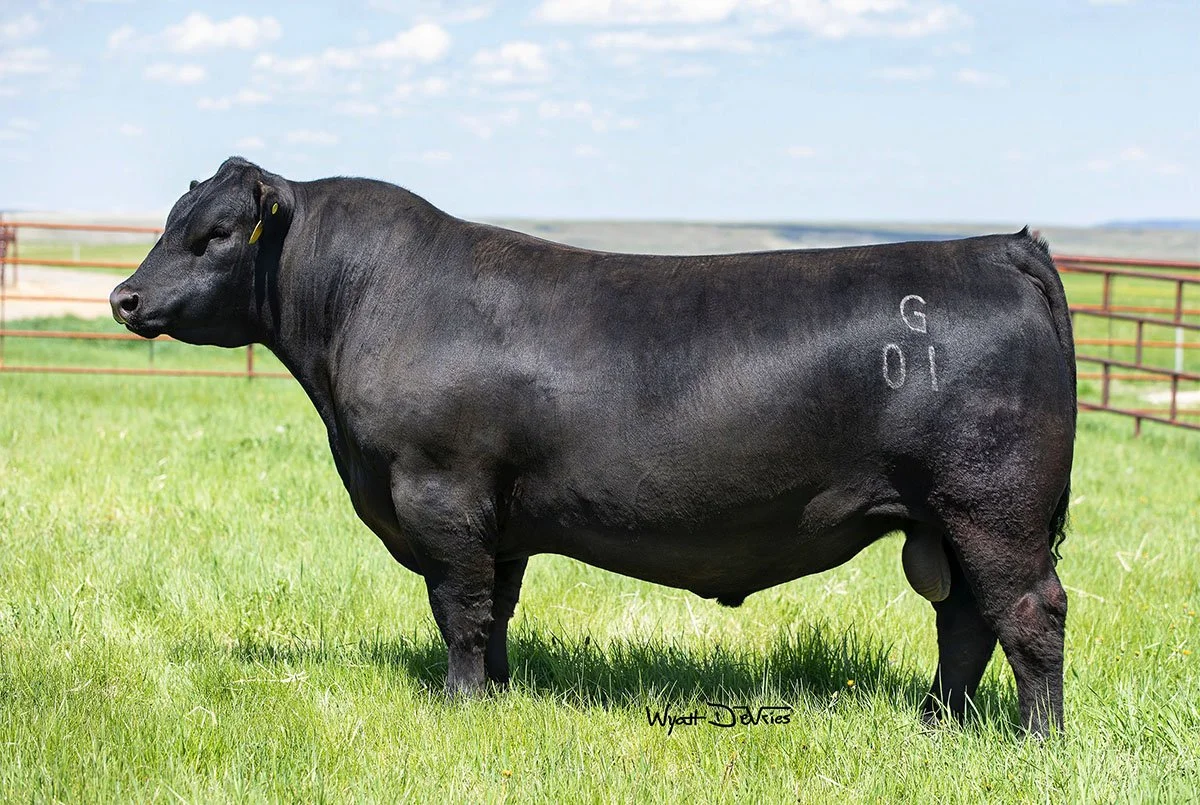 SIRE - USA19356243	- BALDRIDGE SR GOALKEEPER