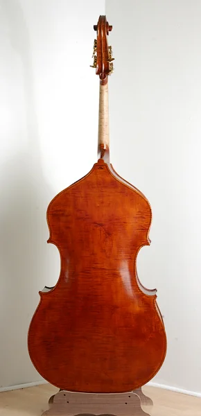 Shen180_back.jpg