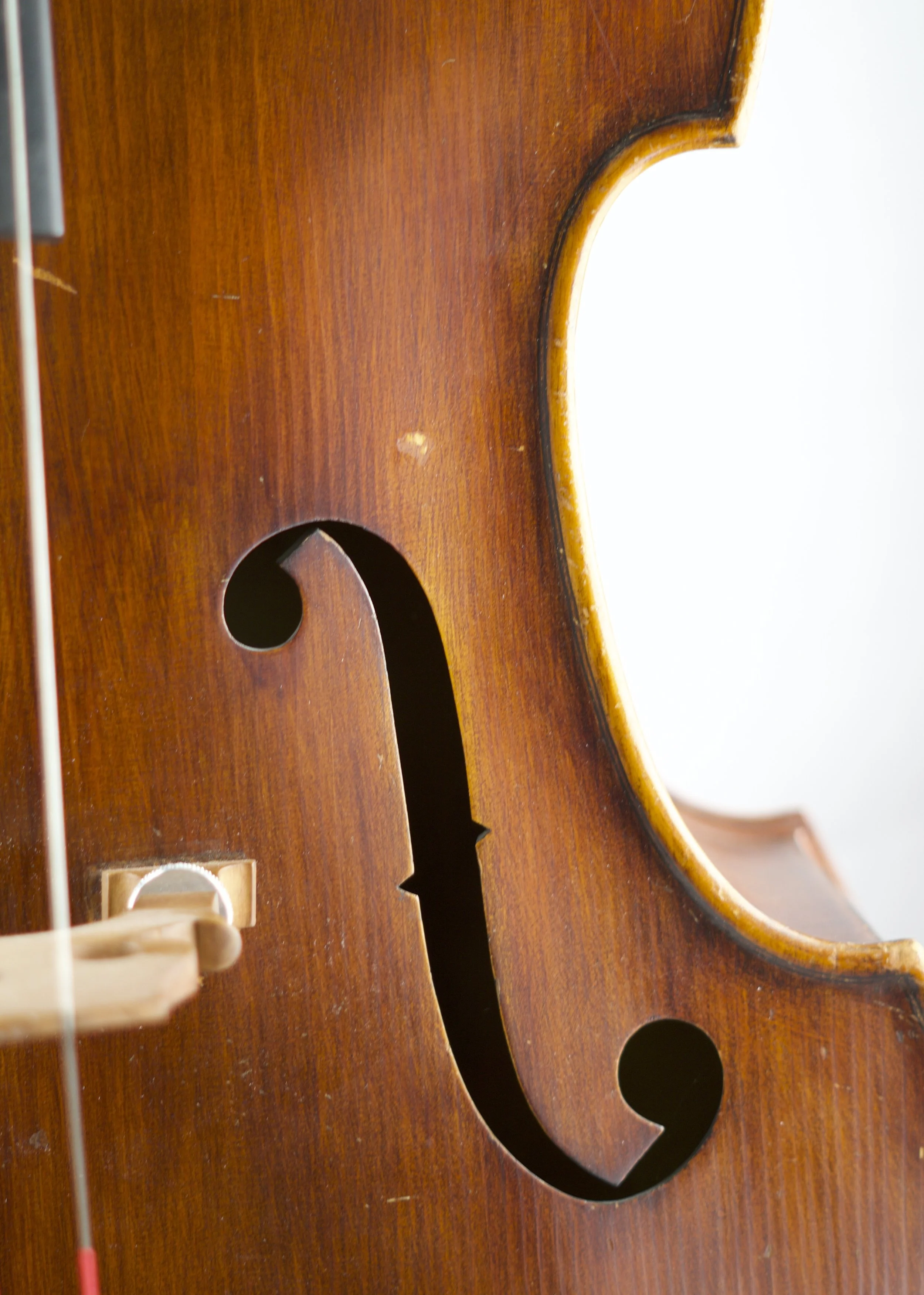 MidCenHybridFhole copy.jpg