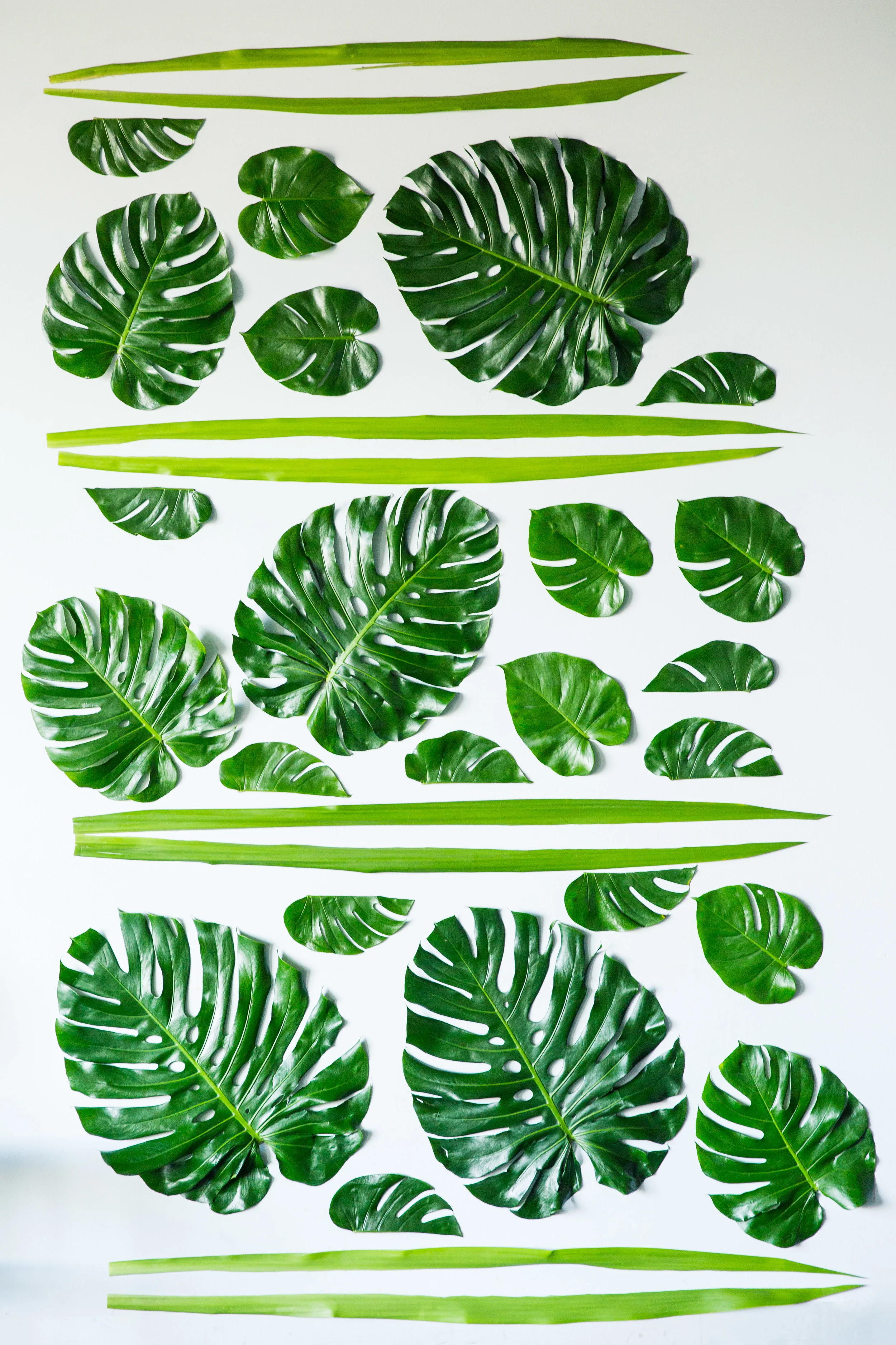 YUKI + BENG FAI | CHAPEL ST, MELBOURNE