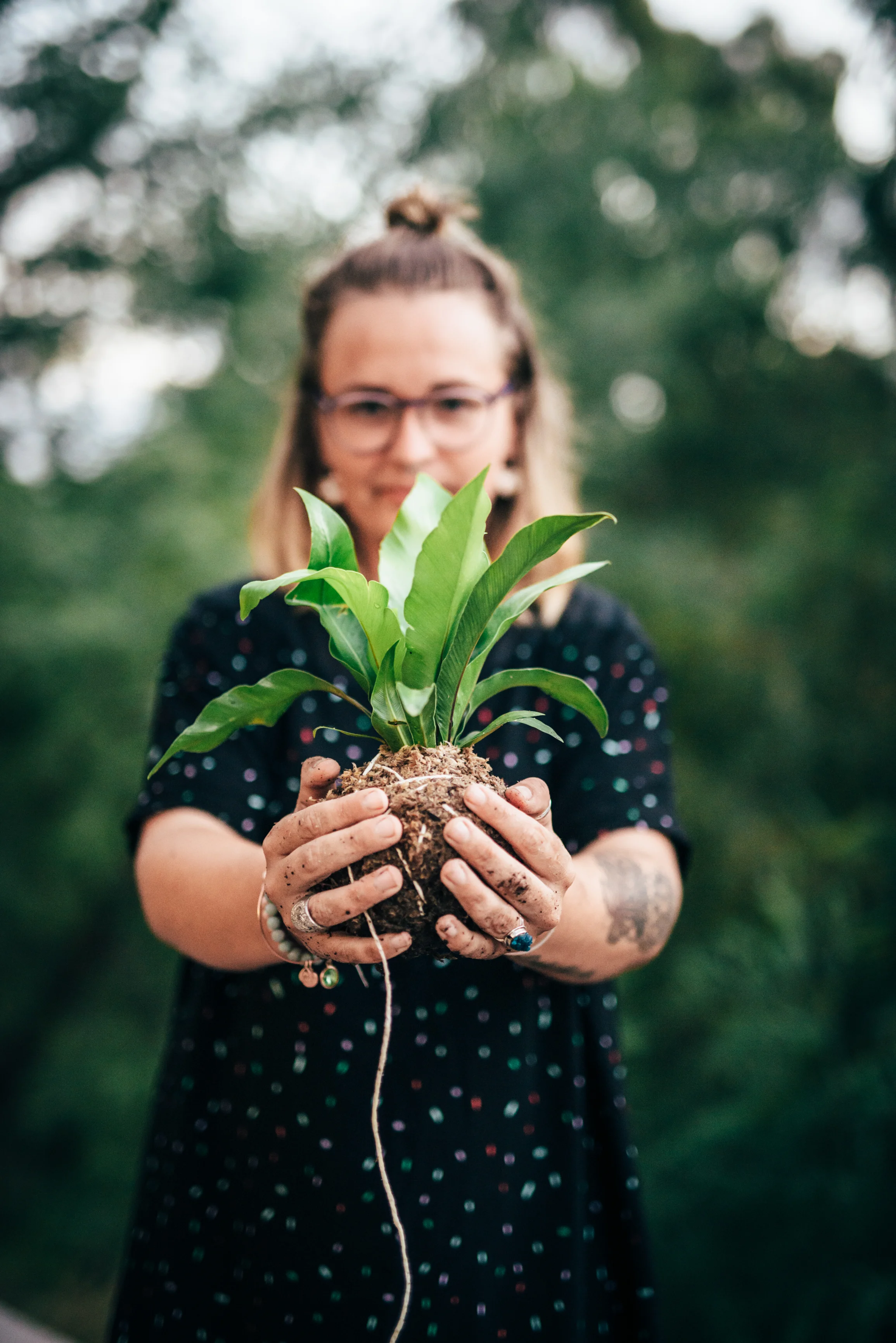 KOKEDAMA HANGING PLANTS