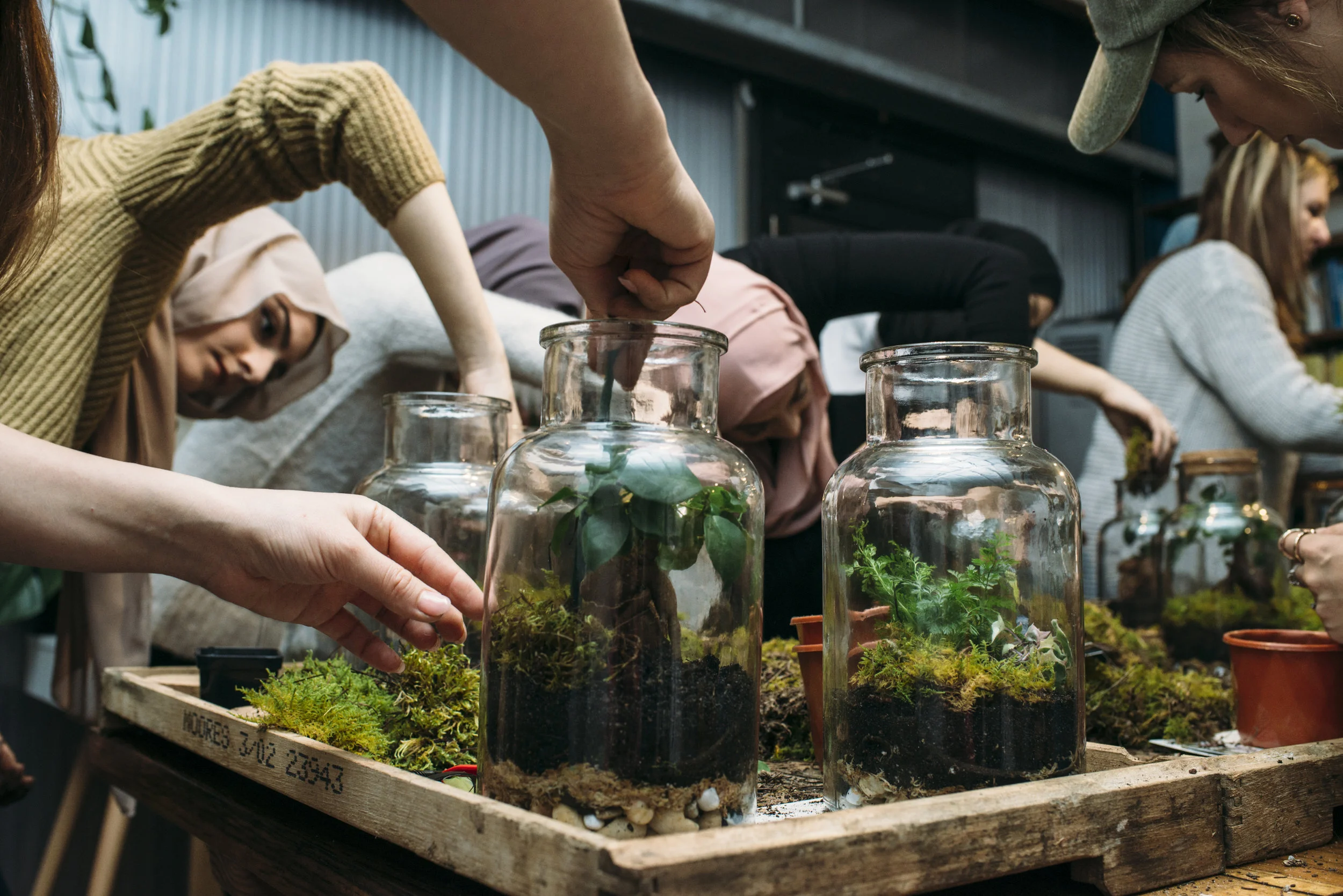 MAL | PRIVATE BIRTHDAY | TERRARIUMS