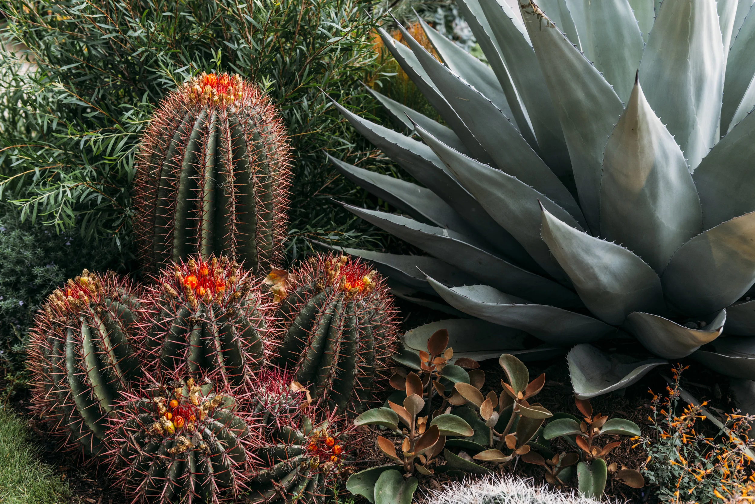 MELBOURNE INTERNATIONAL FLOWER AND GARDEN SHOW