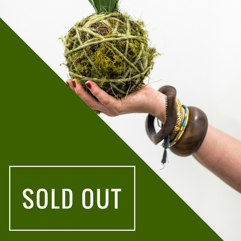 Kokedama Workshop SOLD OUT