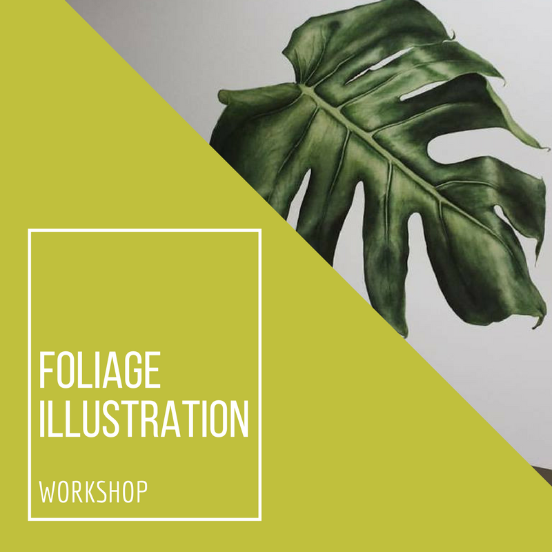 Foliage Illustration