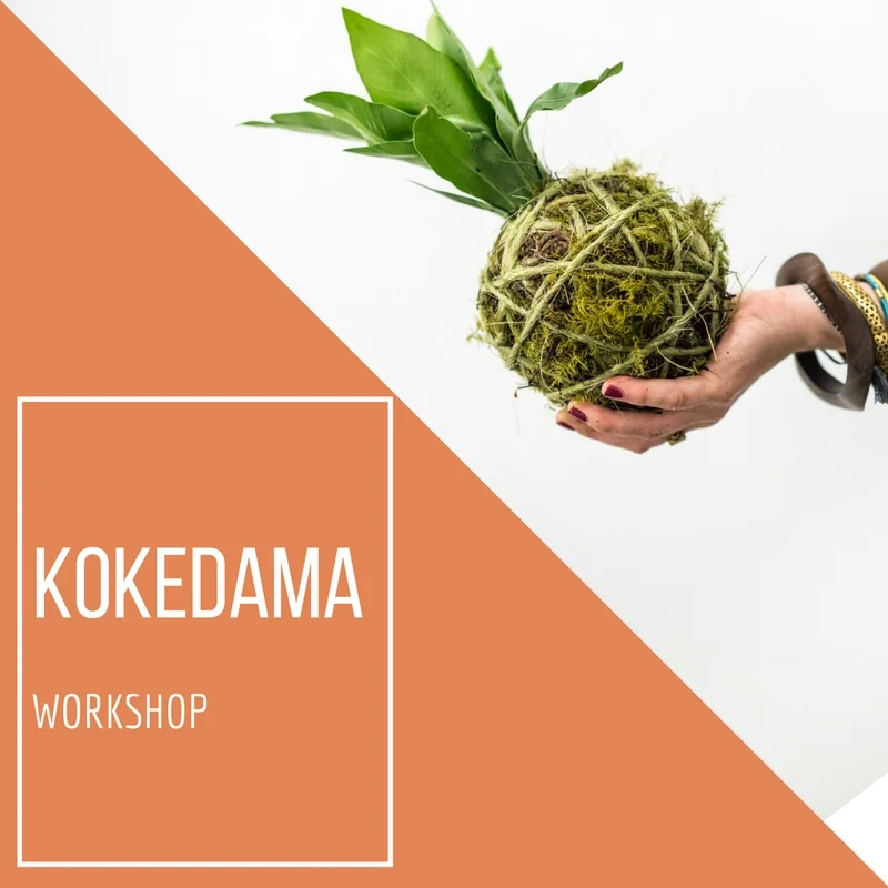 Kokedama Workshop
