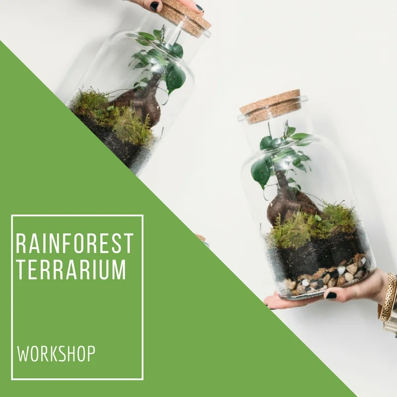 Terrarium Workshop