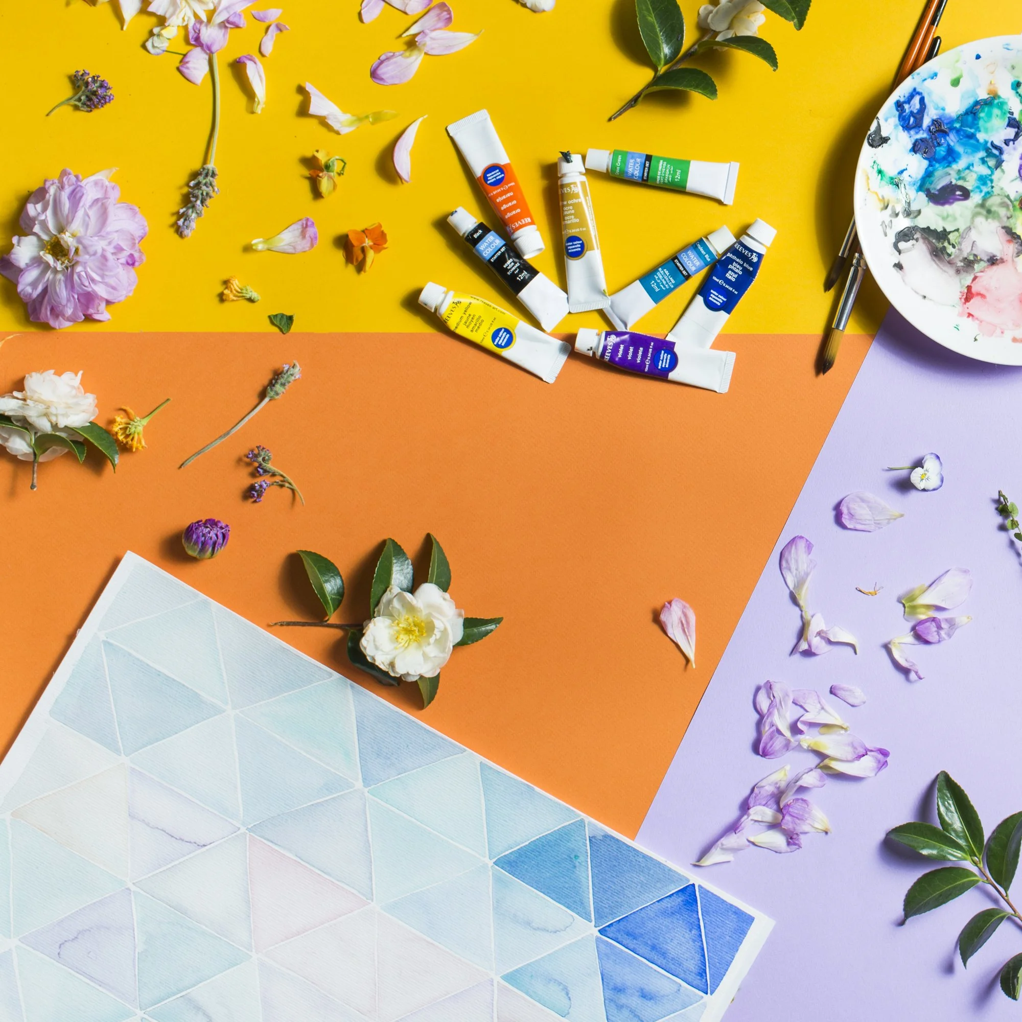 Individual frames _113.JPG