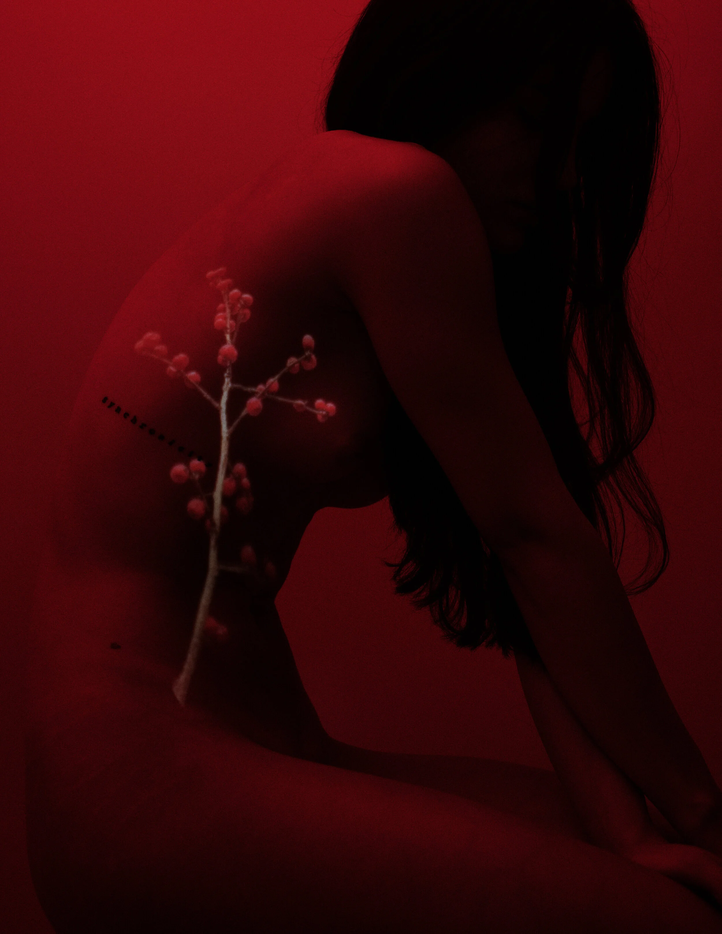 Photographer: Alex Busu Female Model: Diana Dobrea
