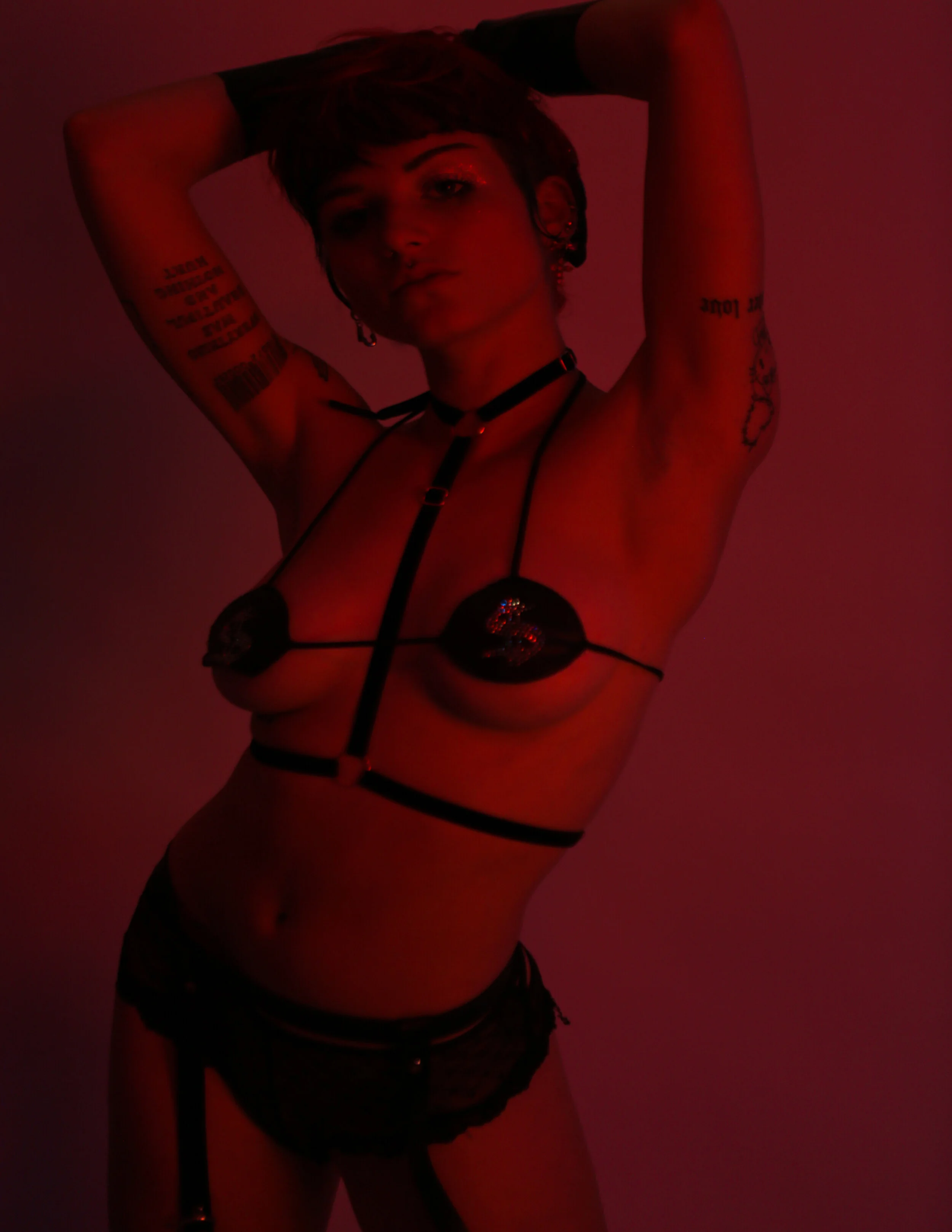 Mixed Media Artist/Photographer/Producer: portraiturePink Female Model: Turbo.trash Wardrobe Credits: Bra, Dolls Kill Panties, Victoria's Secret Harness w/ Choker, Toni Vega Lingerie