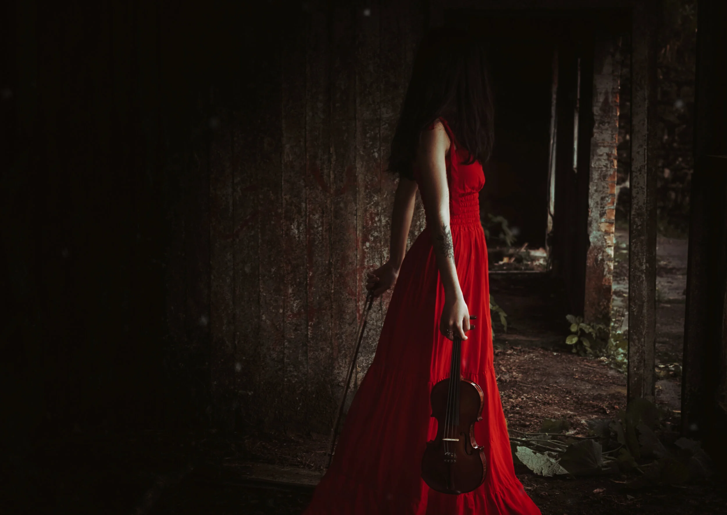 Photographer: Thuanny Gantuss Female Model: Sabrina Oliveira Wardrobe Credits: red dress, violin