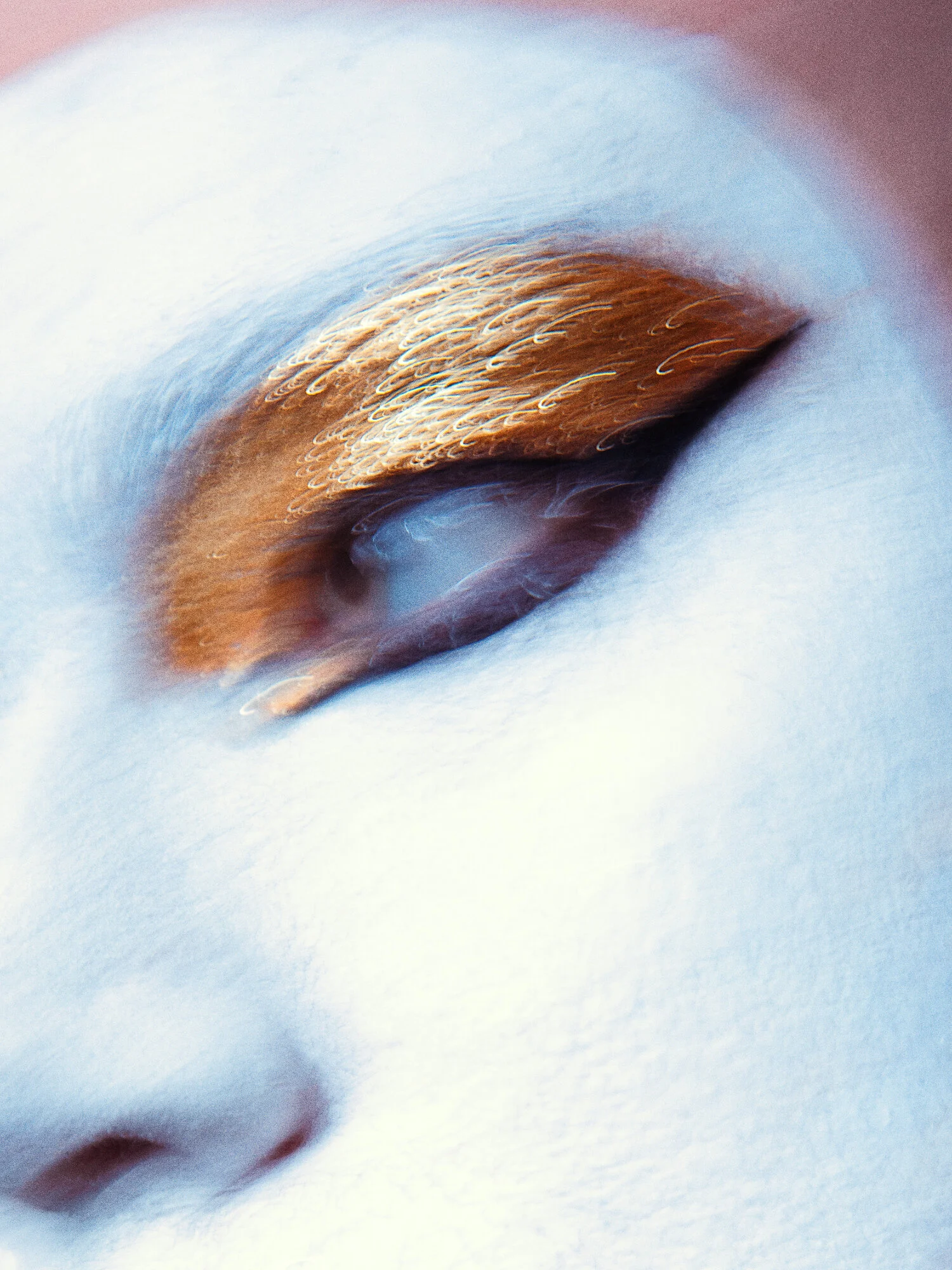 Photographer: Kishka Jensen Model: Costume / Adam Ouston Hair Stylist: Wayne Chappell Makeup Artist: Sophie McDermott Wardrobe Designer: Michelle Boyde
