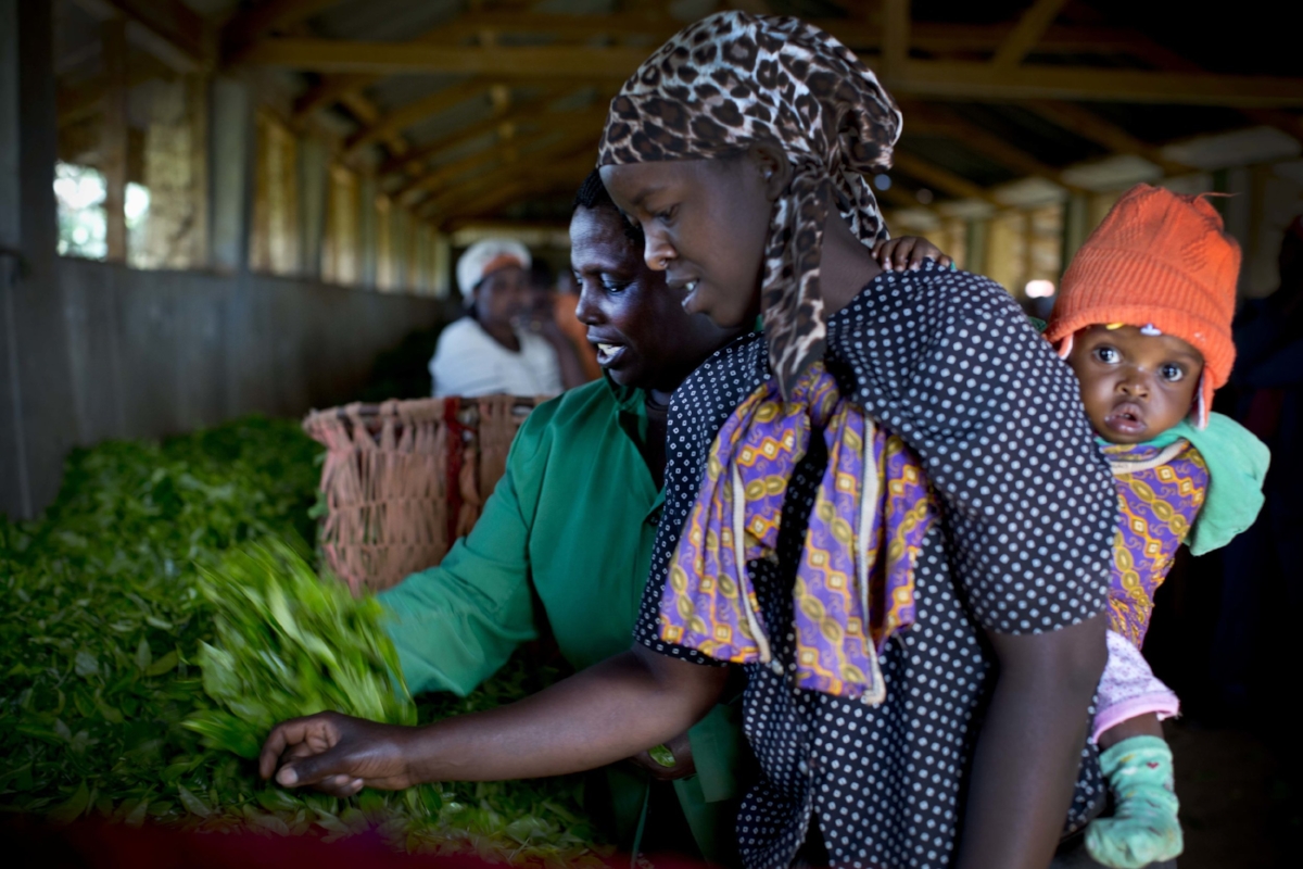 Julia_Wangari_Gakera_talking_to_a_tea_farmer._42447.jpg