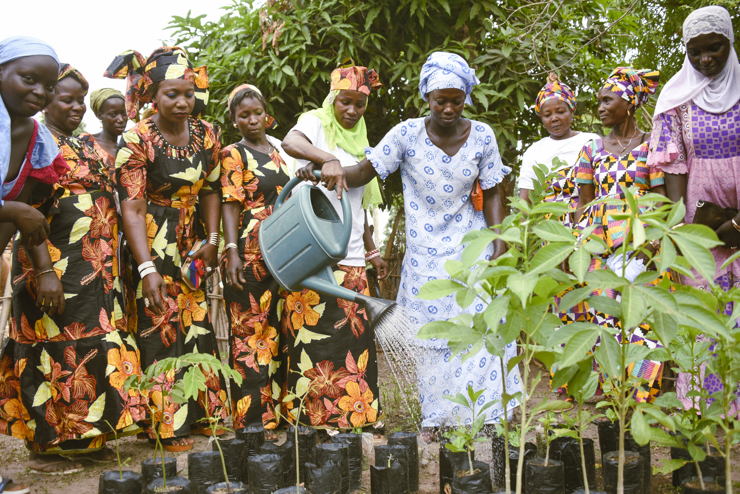 Women of Senegal