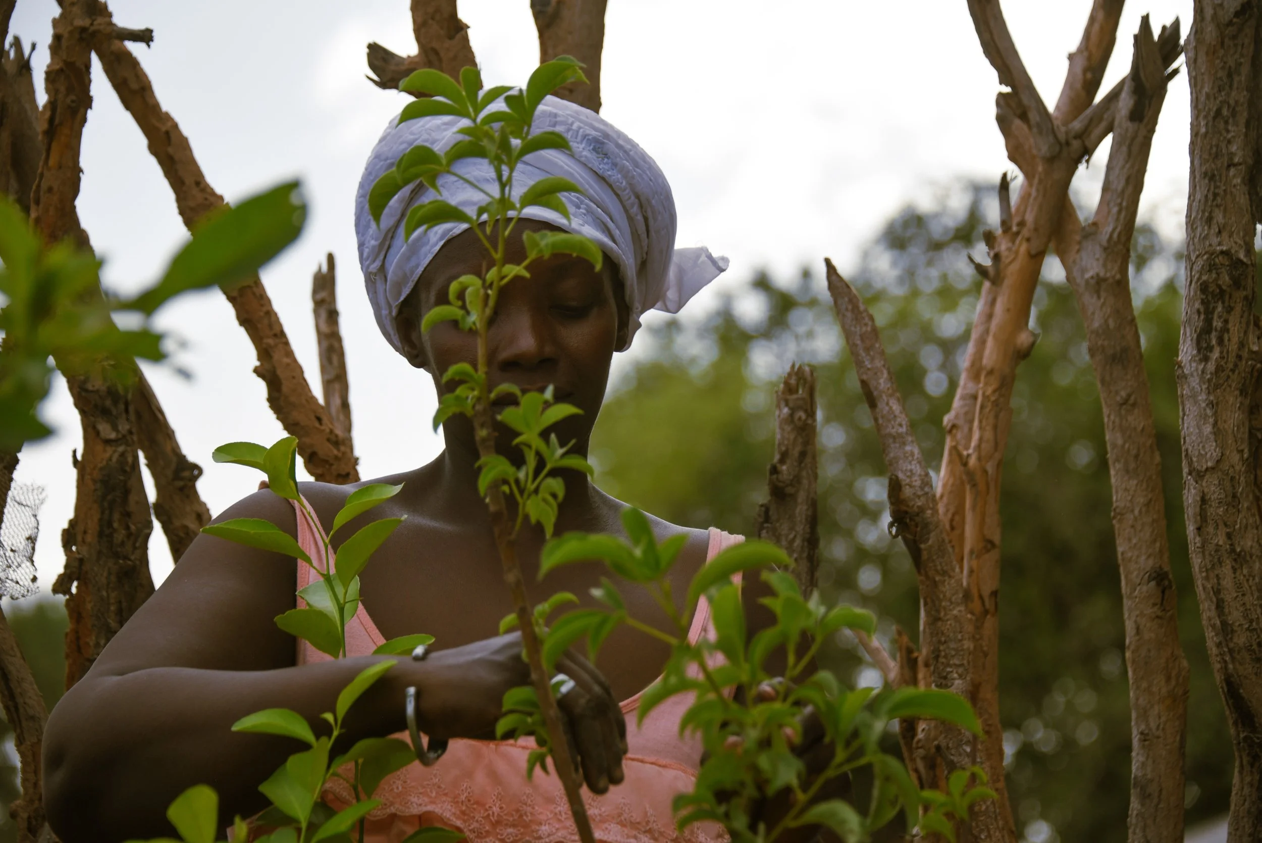 Ndella Badiane works in the community garden set up by the village association in Ouniock, Casamance. Credit: Traidcraft Exchange/Kate Dixon