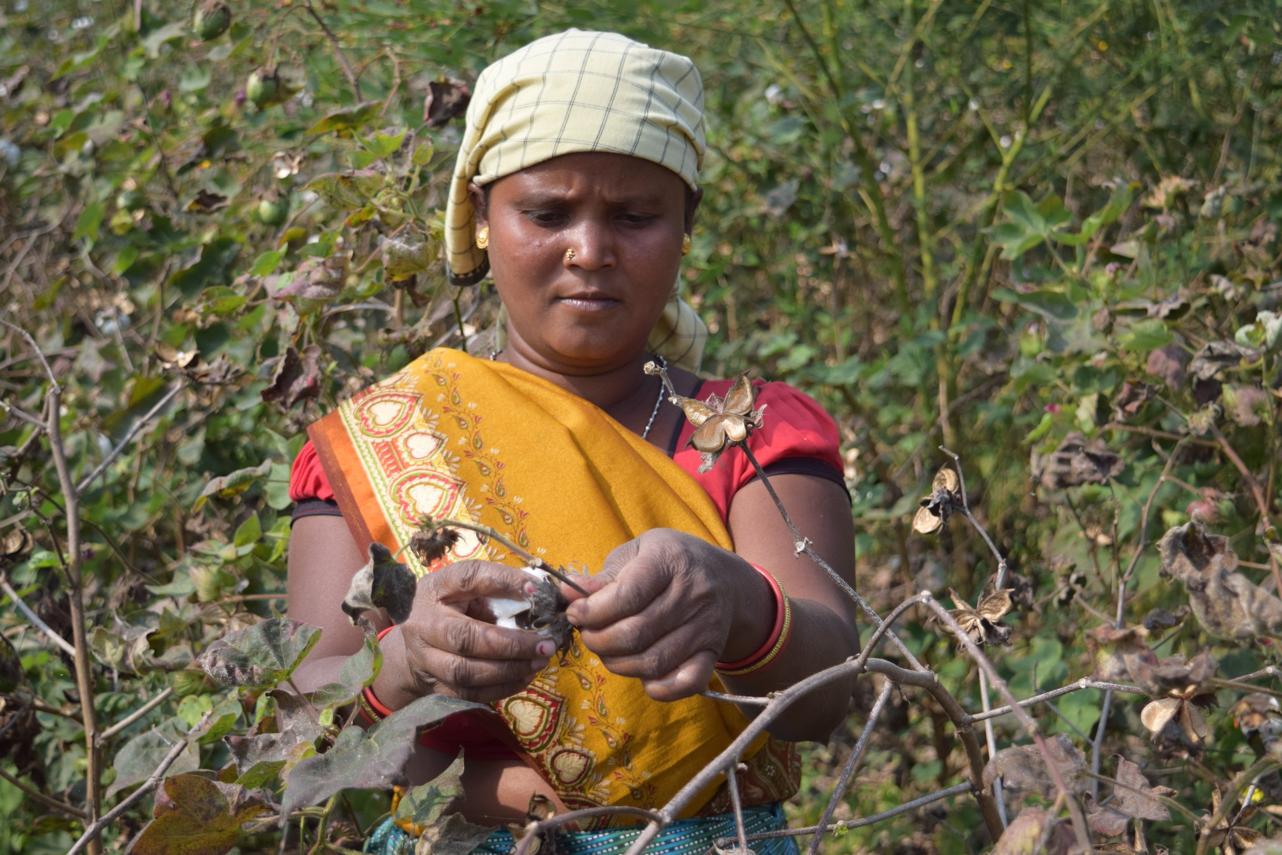 45601.Bharati+_8_.jpg
