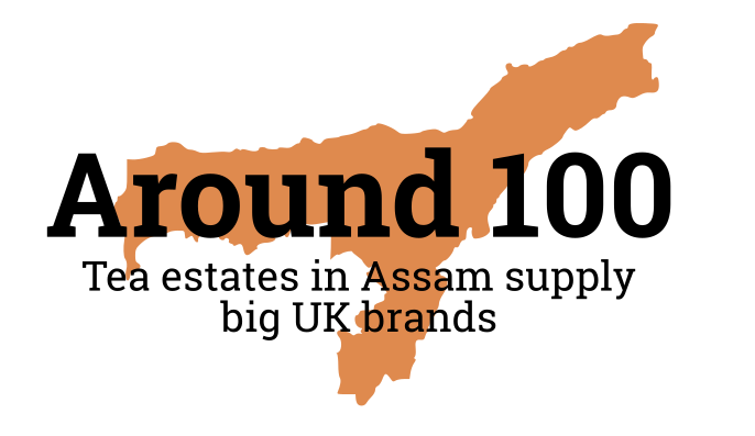 BIG BRANDS.png