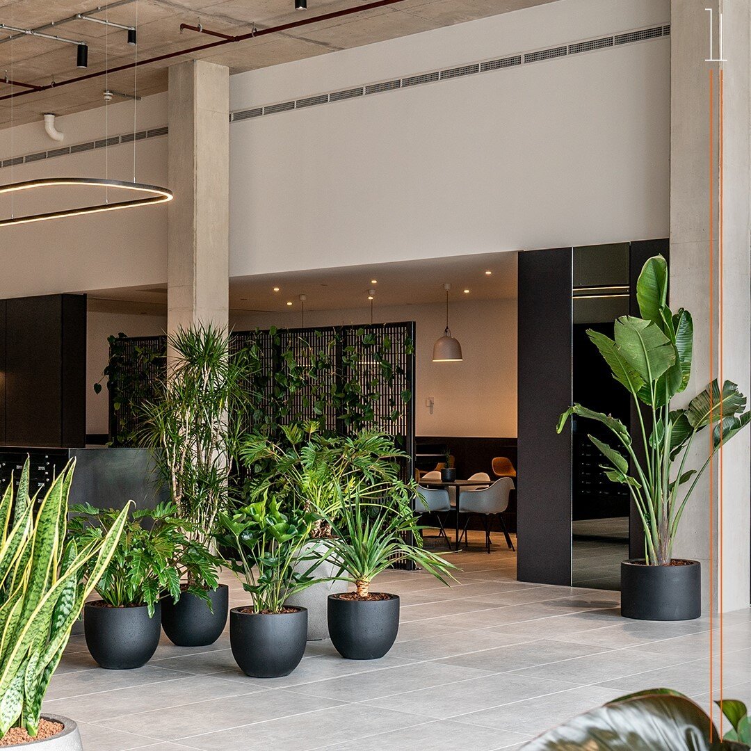 Feeling productive? 
Move downstairs to work from our trendy co-working lounge, recharge at our coffee &amp; juice bar opposite and take some well-deserved breaks on the podium garden. We&rsquo;ve paid close attention to detail at No.1 to create spac