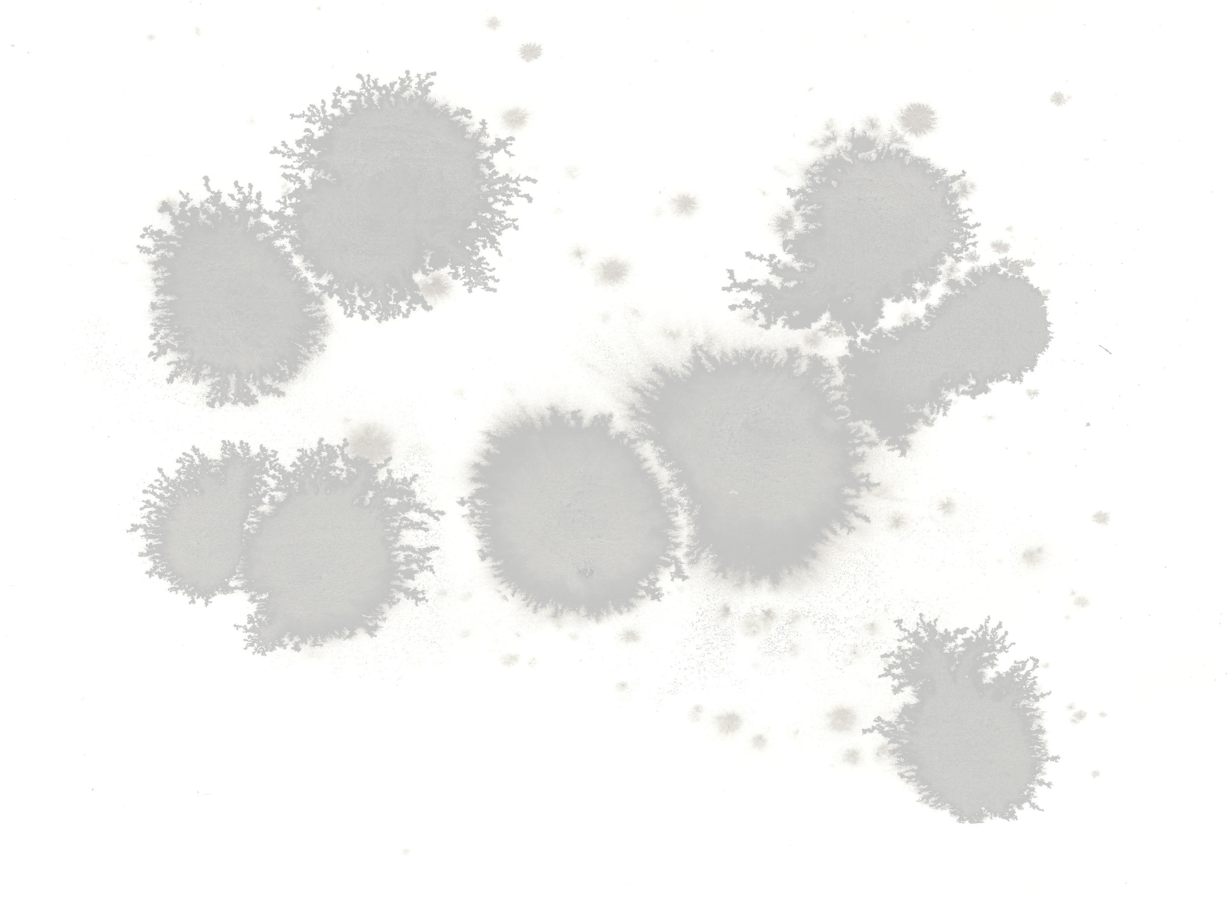 E2343_04 white.jpg