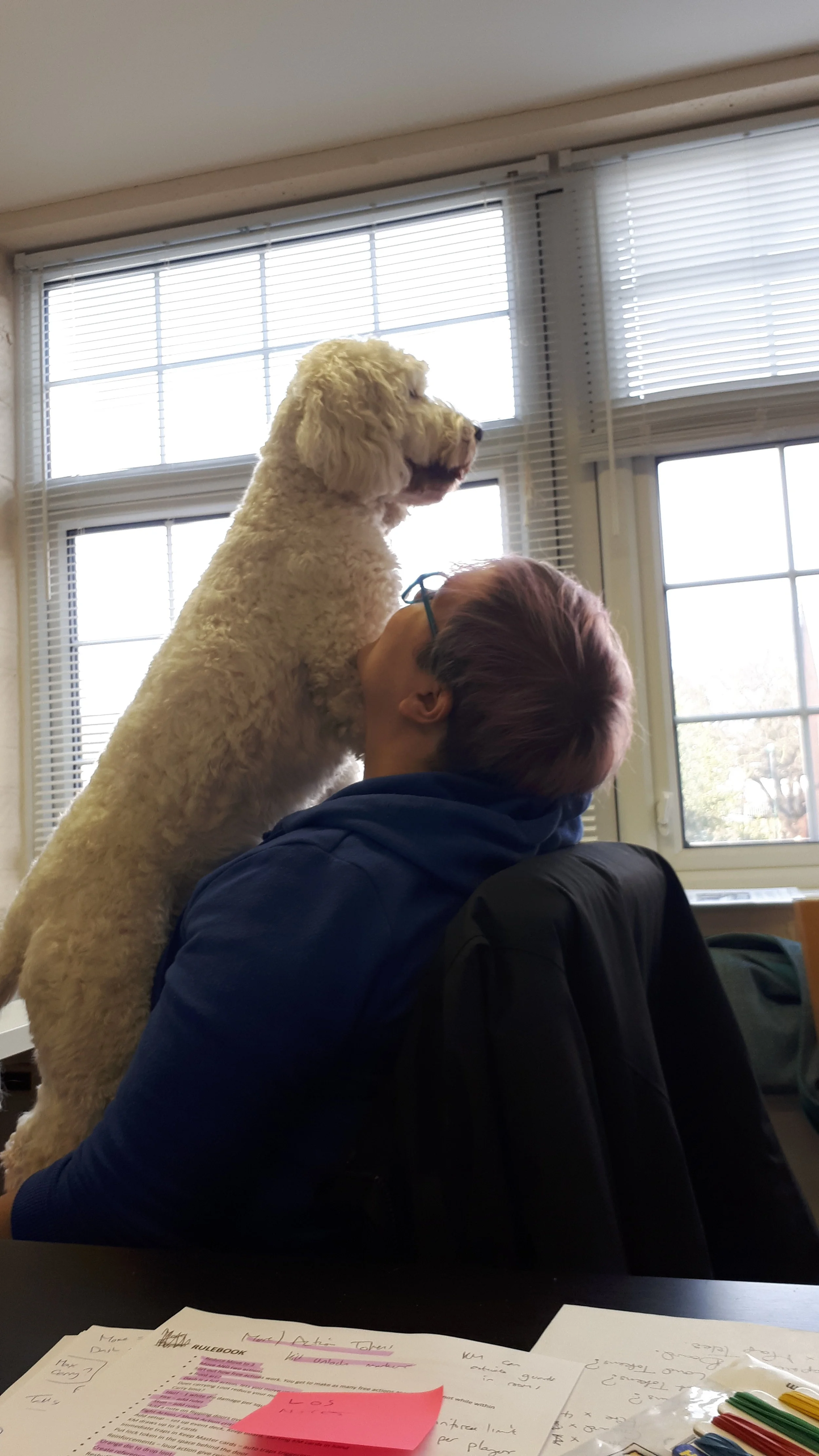 …providing a convenient platform for a dog to look out of a window…
