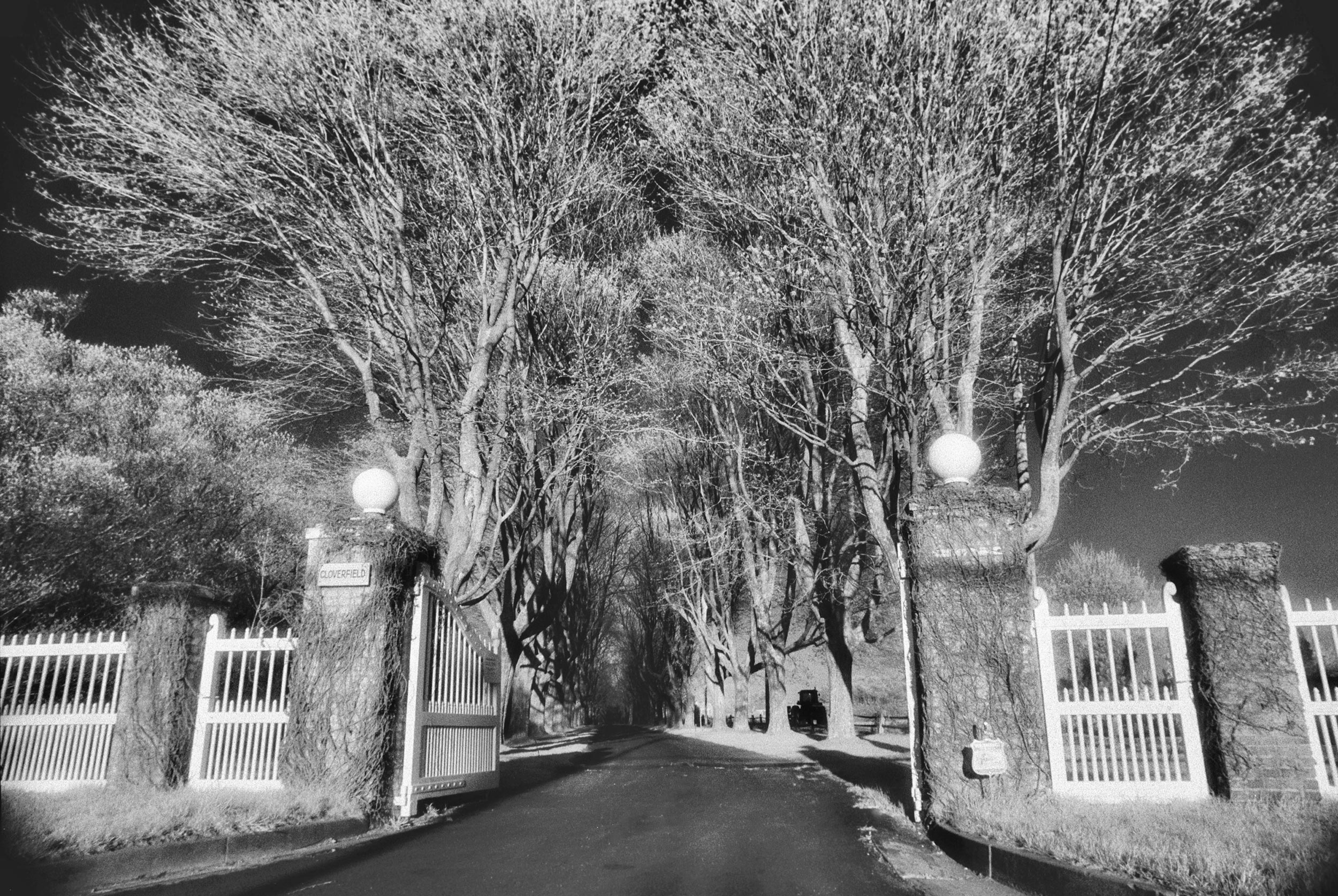 infrared-hamptons-gate.jpg