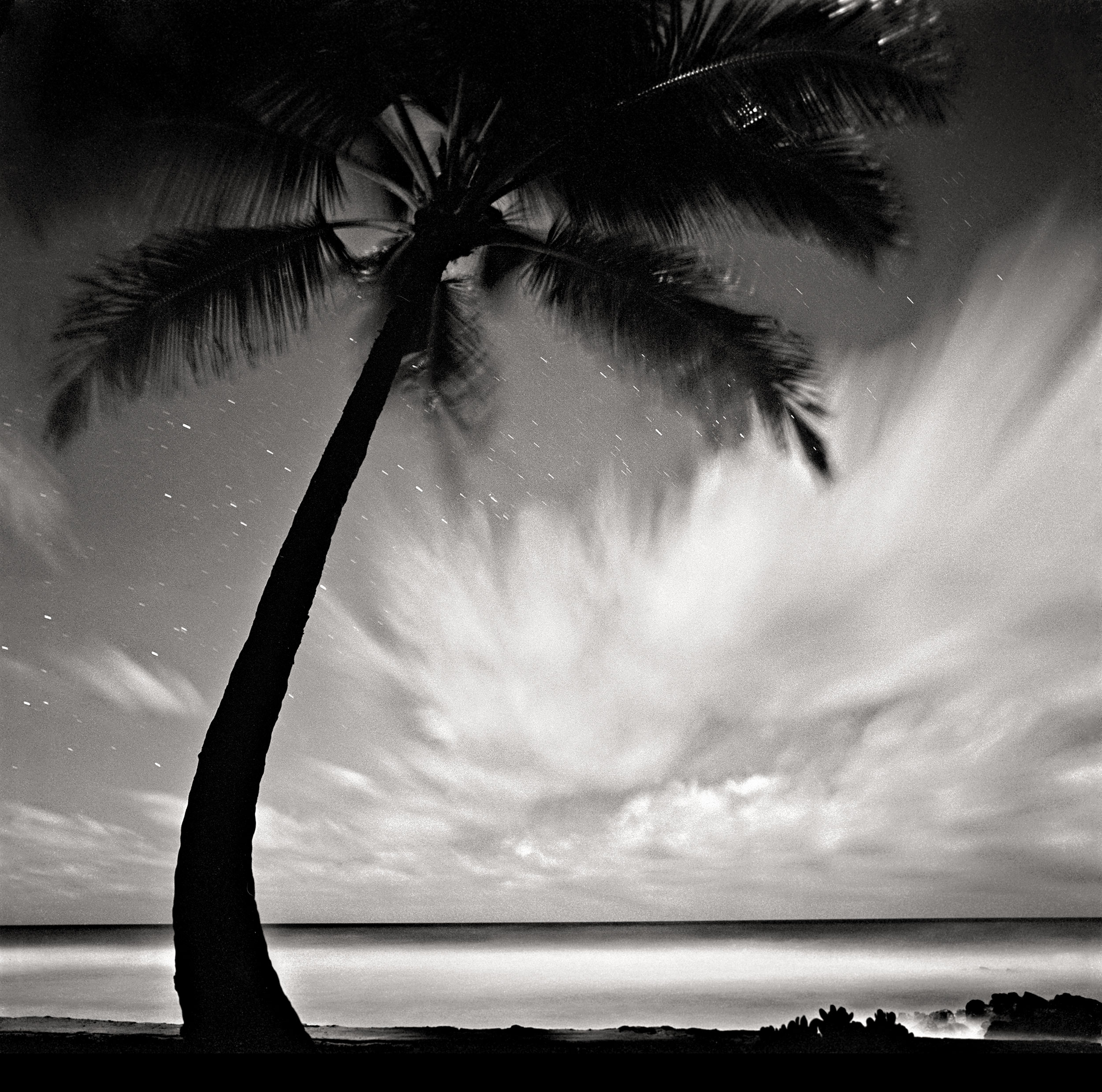 palm-tree-clouds-2.jpg
