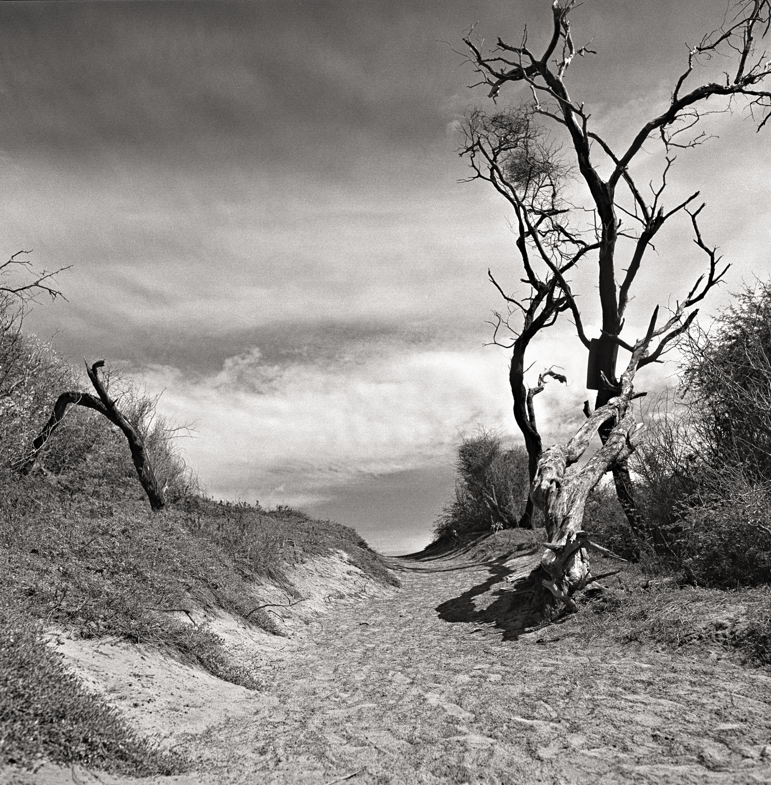 hawaii,big-beach-path-14-bit.jpg