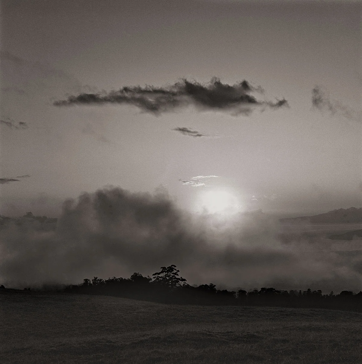misty-hills-2-nikon-curve-14-bit.jpg