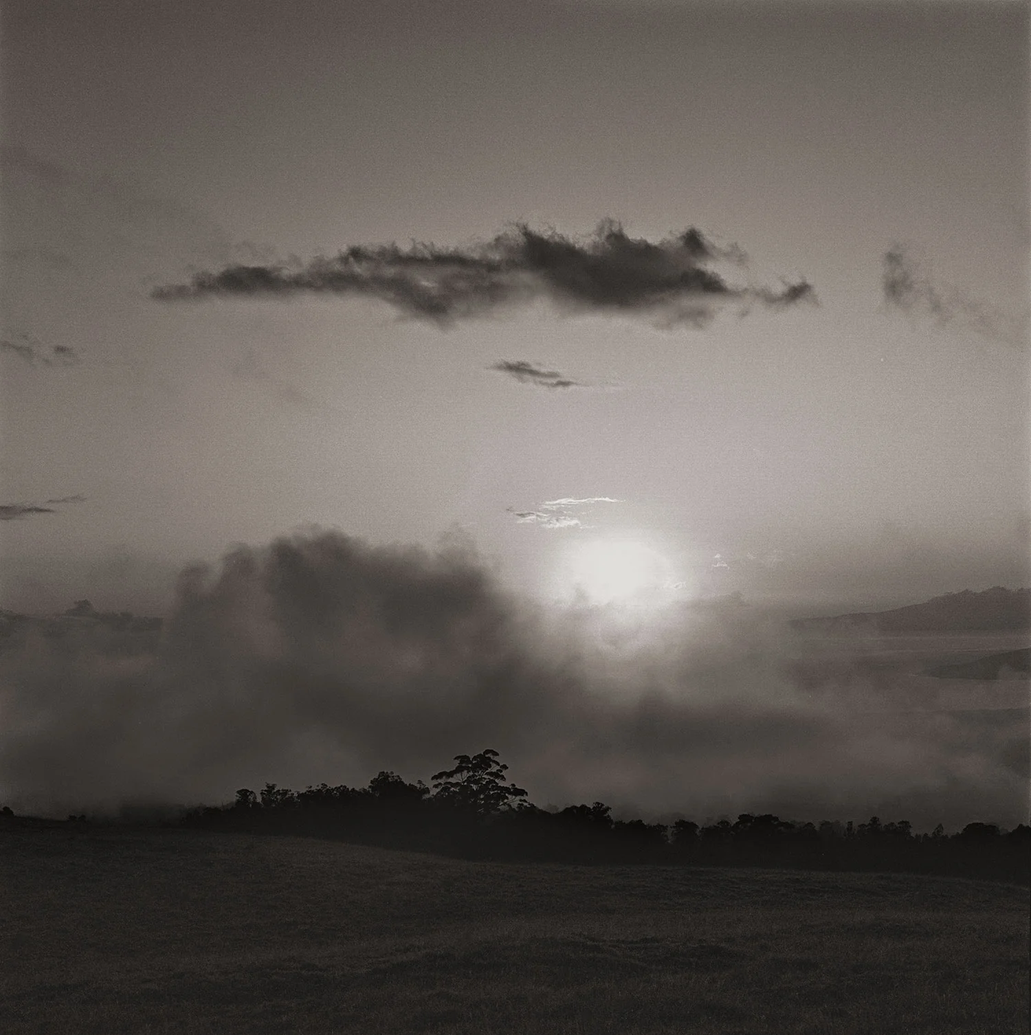 misty-hills-Tonal-2.jpg