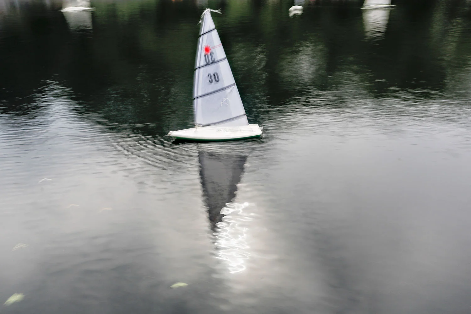 _T4A0499.jpg