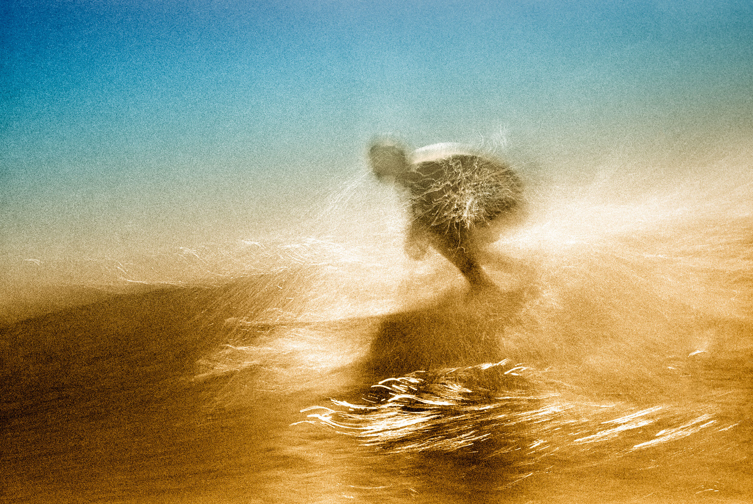 3.gilgo-surfer-blur.jpg