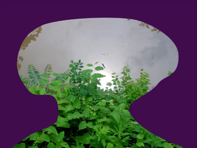 Purple Shroom.jpg