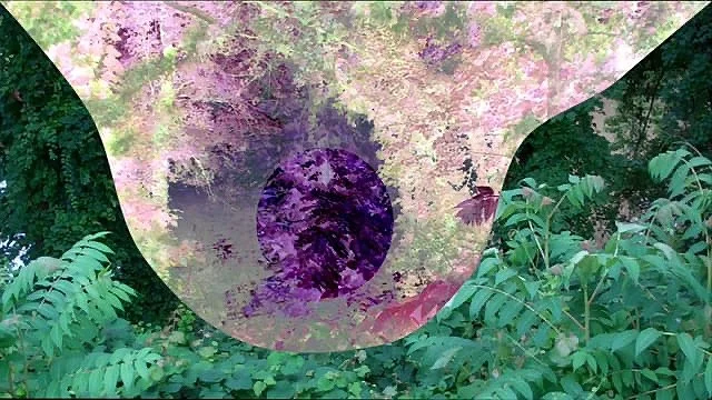 image-asset.jpg
