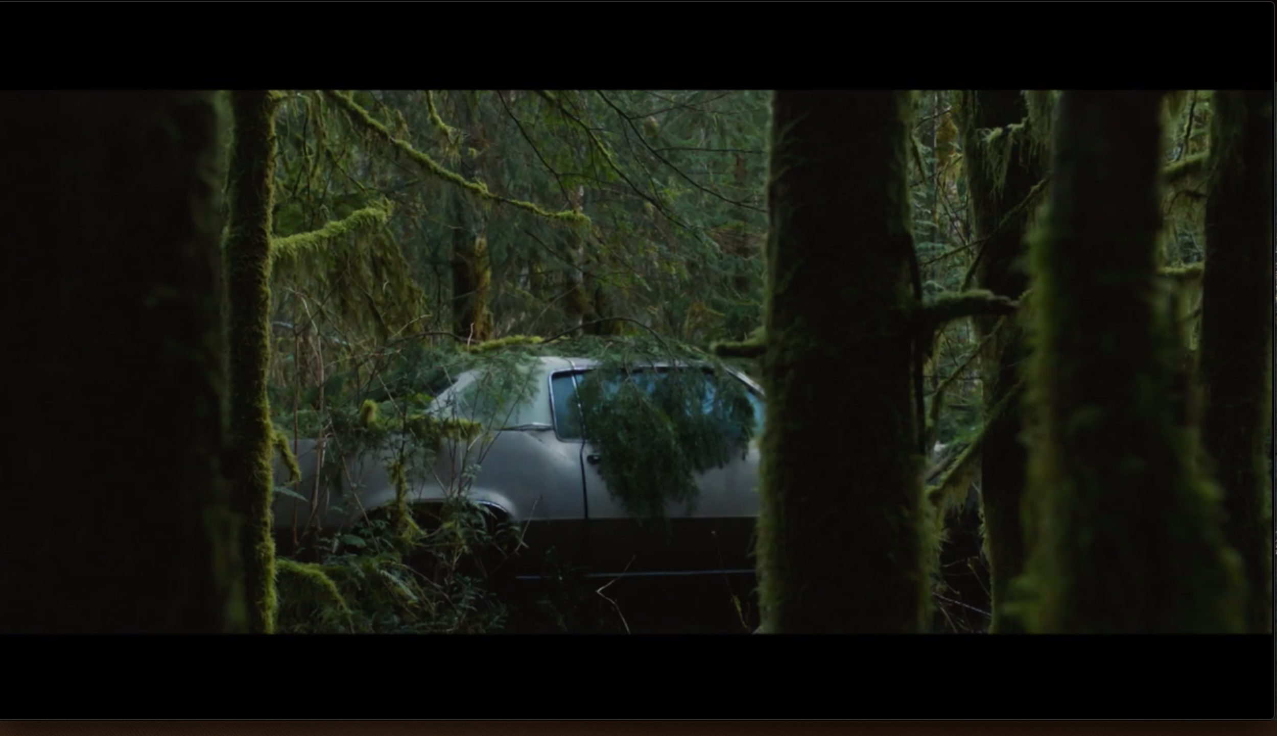 Car in forest.png