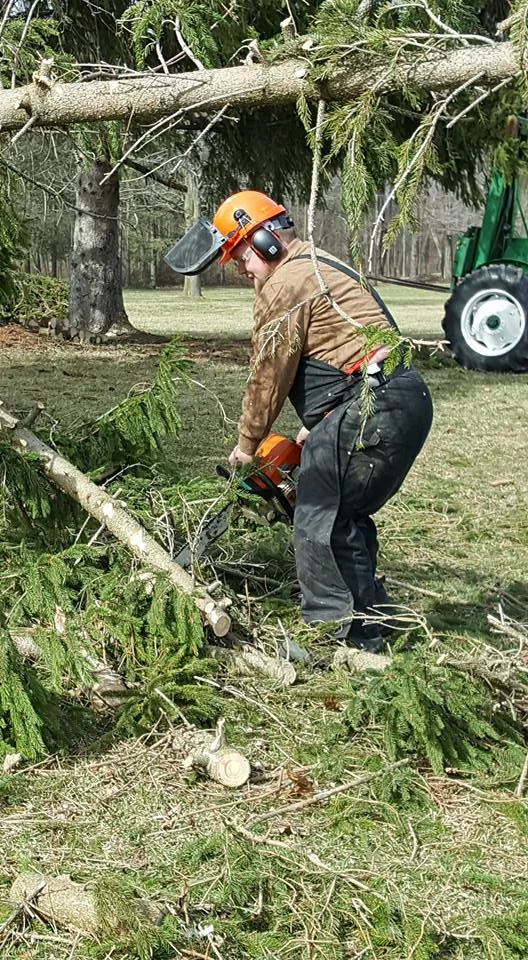 Sawing.jpg