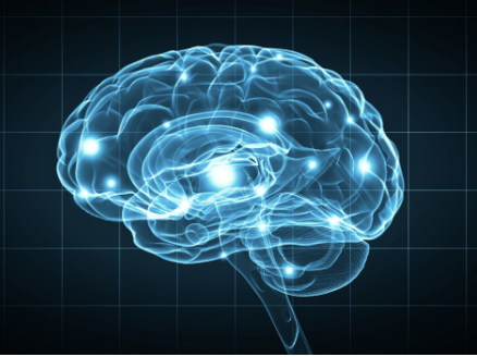 Train Your Brain