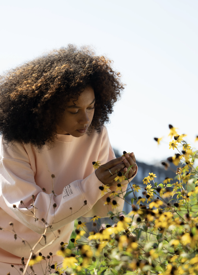 Screen Shot 2024-08-05 at 4.09.29 PM.png