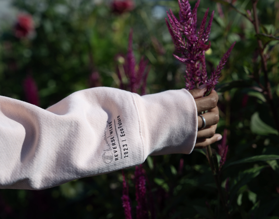 Screen Shot 2024-08-05 at 4.09.44 PM.png