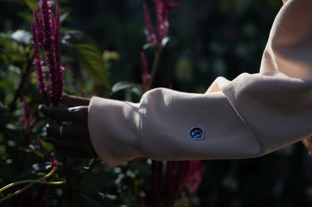 Screen Shot 2024-08-05 at 4.09.51 PM.png