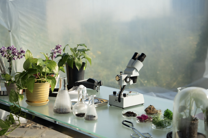 Screen Shot 2024-08-05 at 4.11.57 PM.png