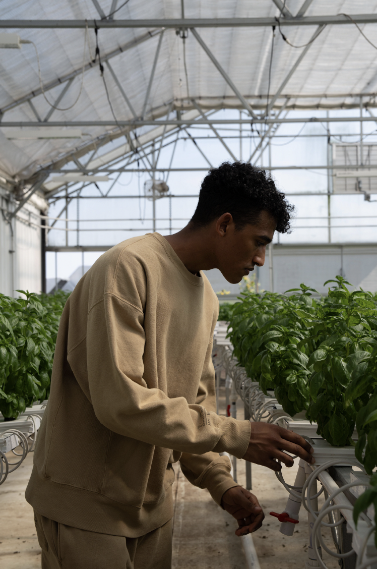 Screen Shot 2024-08-05 at 4.08.59 PM.png