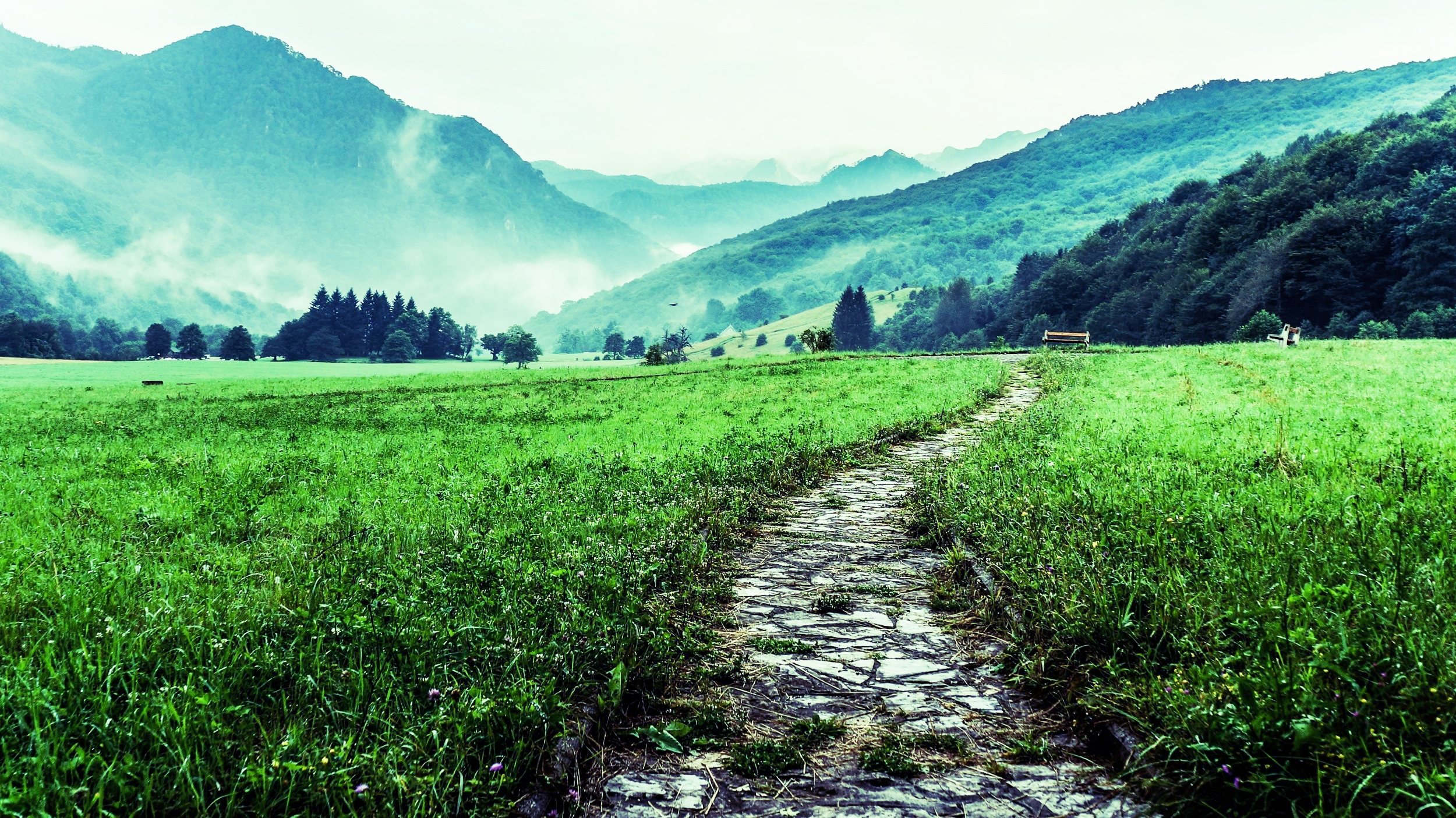 Where-is-God-calling-you-to-go.jpg