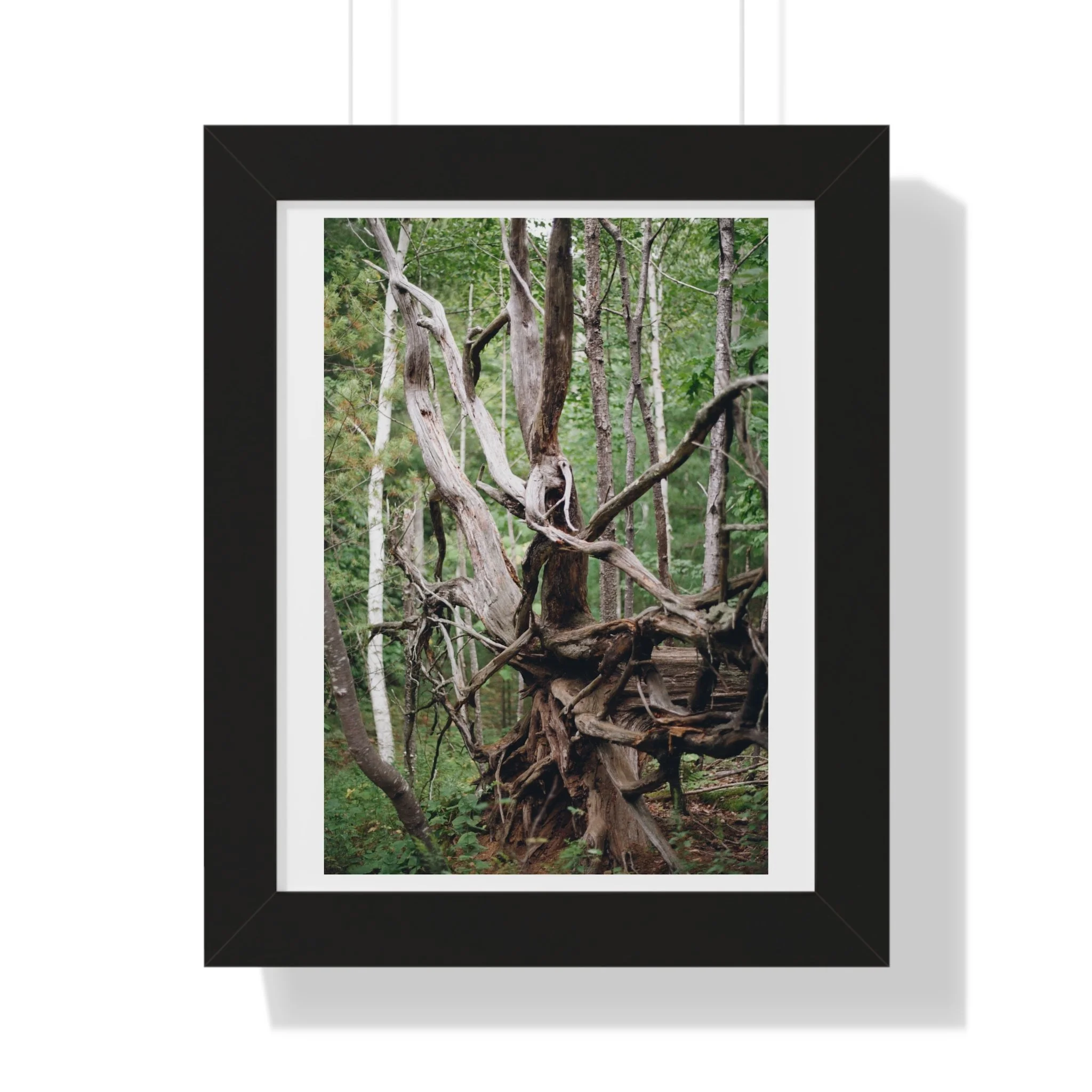 cb63dec3873a10a977a8d5cd29f6104c