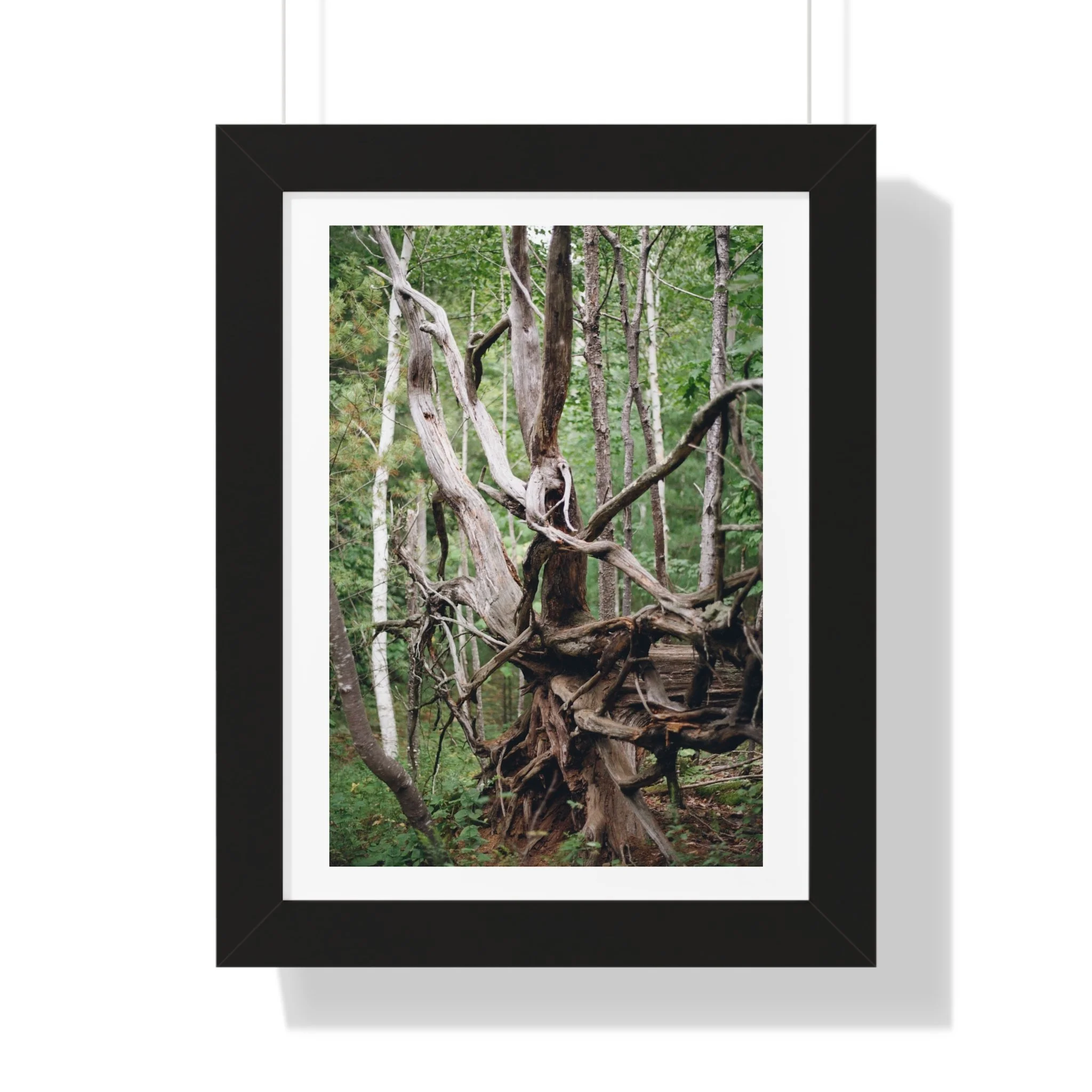 370df0bfe38a57733cdf8bd6b82ffae5