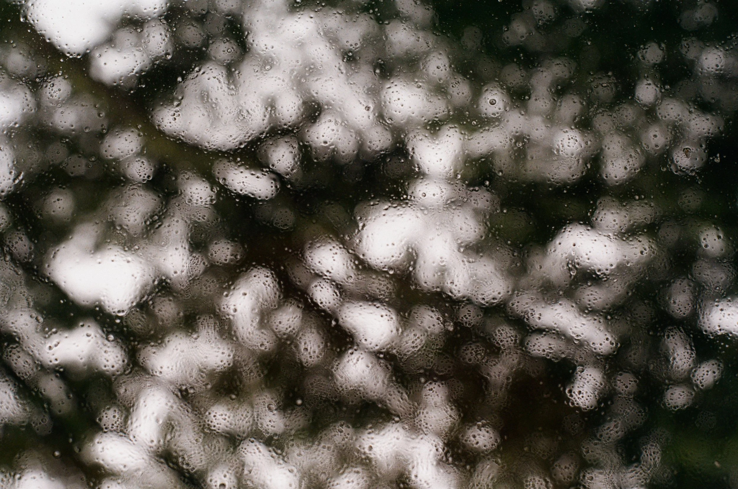 2064475b81bd81ed319692b952c1f081