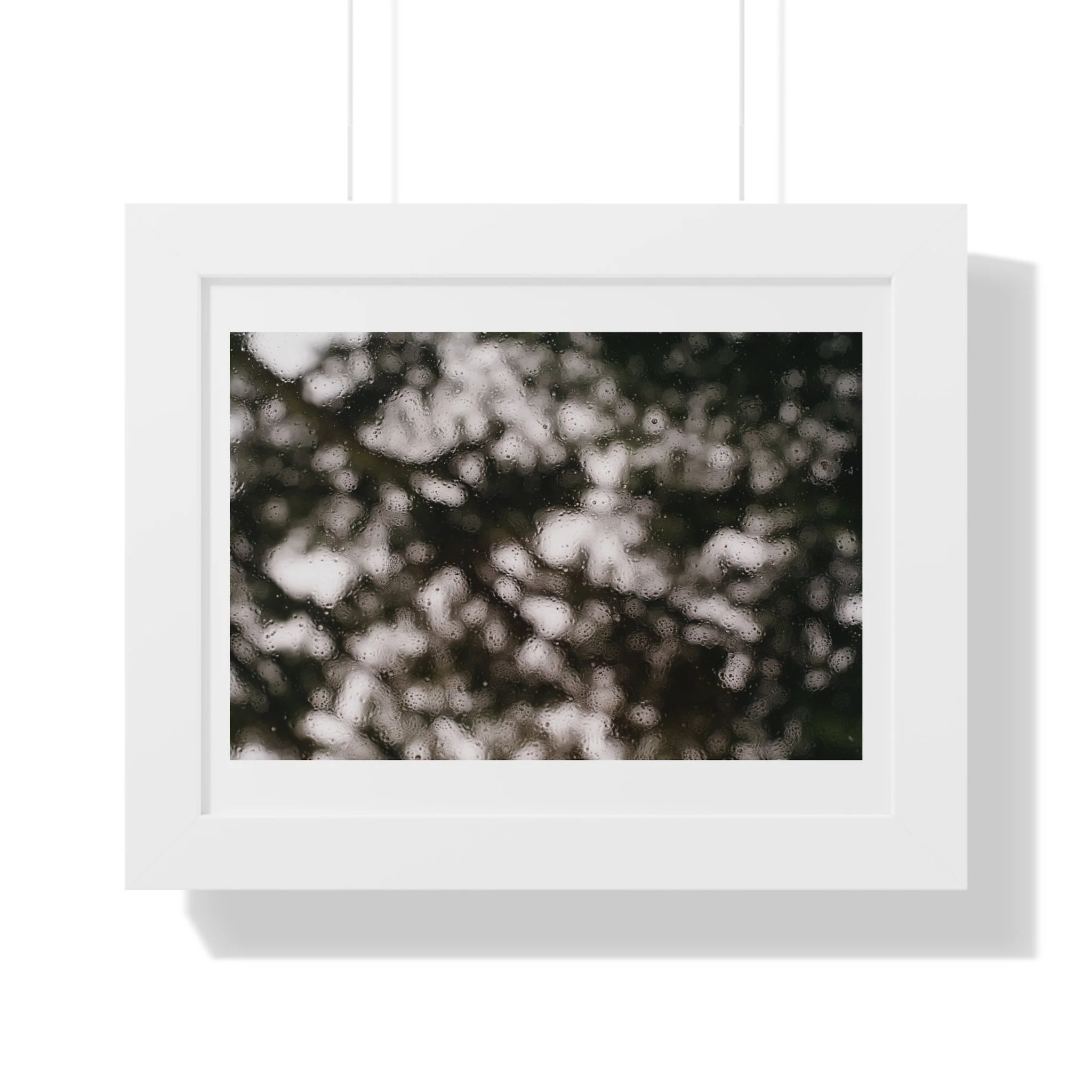 40623153f9a6374a0640297f7d3e2686